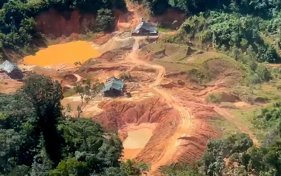 mineiros, ilegais, ouro-minas, ilegais