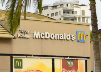 rede de fast food, cadeia de fast food