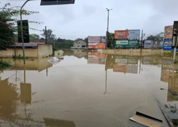 ocorrências, ocorrência.