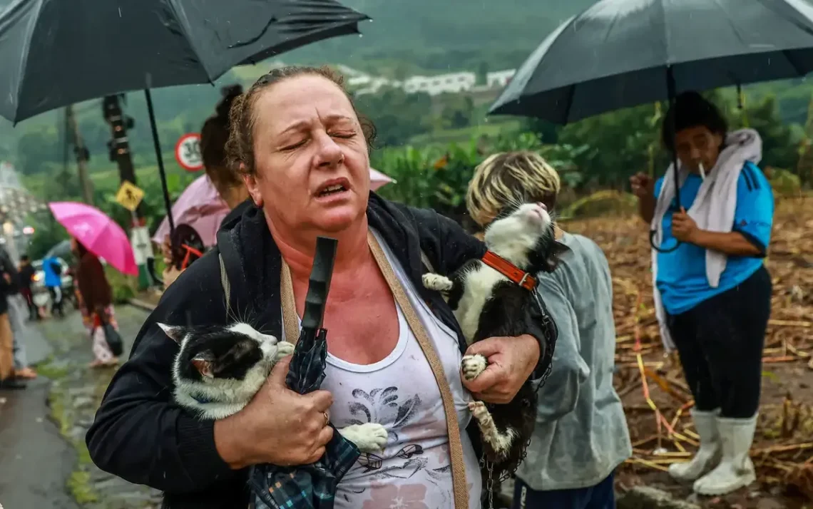 assistência, ajuda financeira;