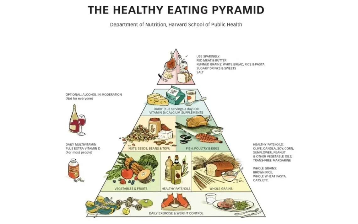 esquema, alimentar, orientação, alimentar;