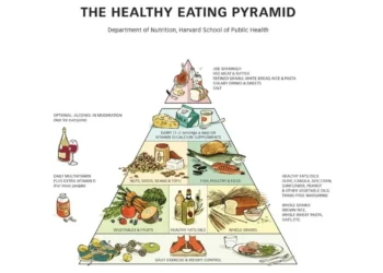 esquema, alimentar, orientação, alimentar;