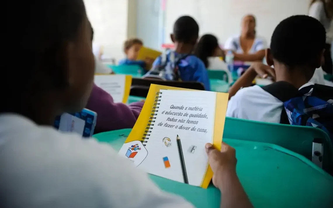 docentes temporários;