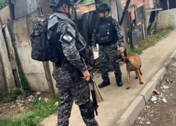 Ações Policiais, Incursões Policiais, Ações de Segurança;